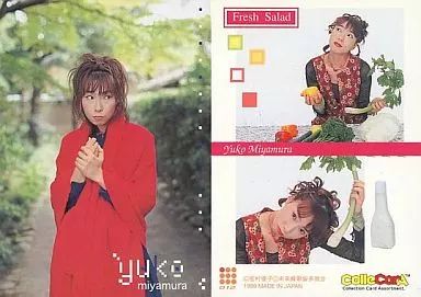 宮村優子 コレカラシリーズ アーティストコレクション