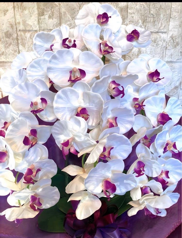 お買い得品 光触媒 人工観葉植物 ウォールグリーン フェイクグリーン