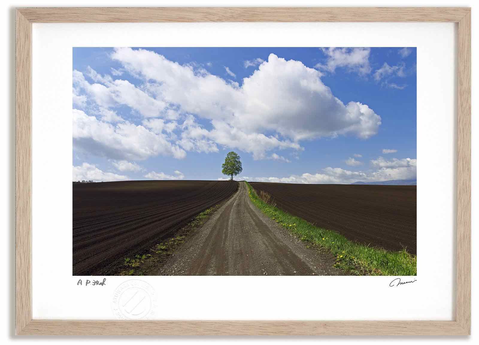 値引交渉可≫旧約聖書略註 （上・中・下）＋新約聖書略註（ 全）黒崎