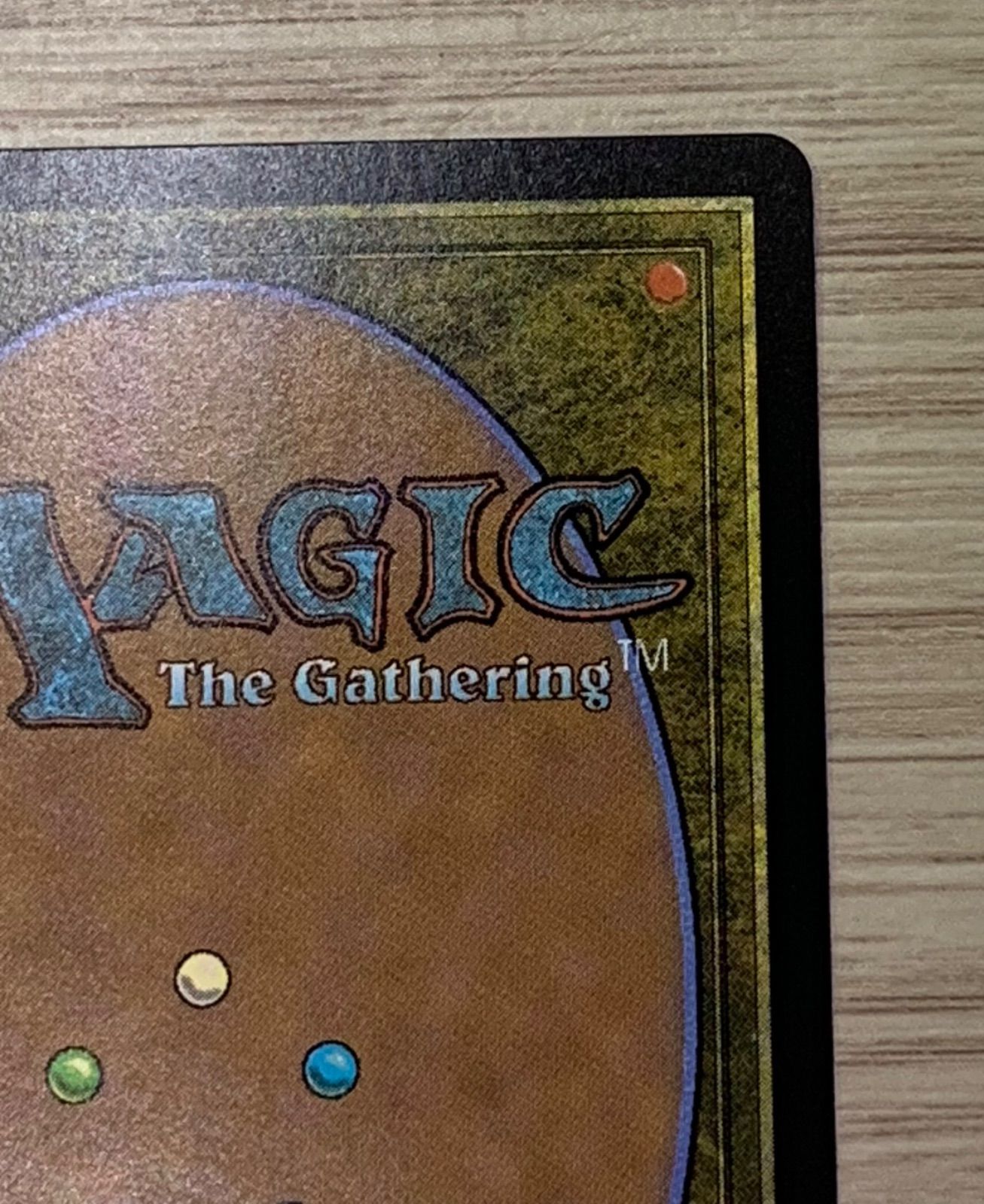 マジック：ザ・ギャザリング - 踏み鳴らされる地 FOIL ゼンディカーエクスペディション MTG 踏み鳴らされる地 FOIL ゼンディカーエクスペディション MTG