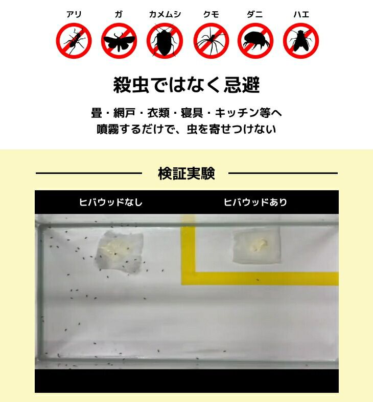 アリ 蛾
