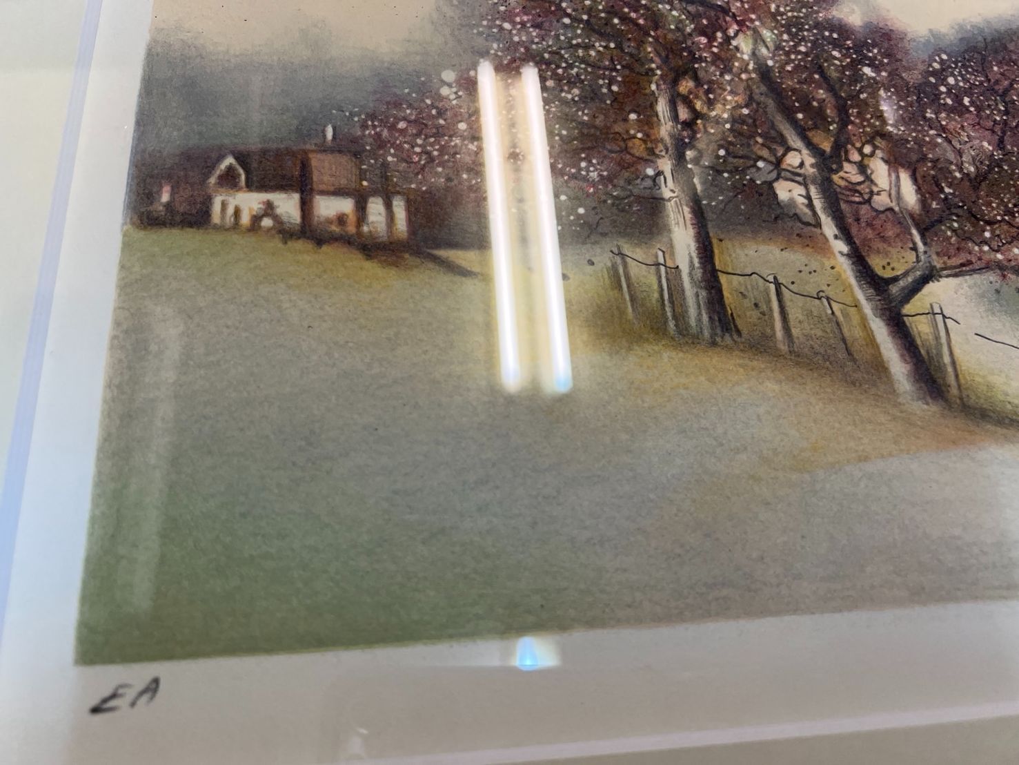 大澤郁夫 直筆 肉筆 絵画