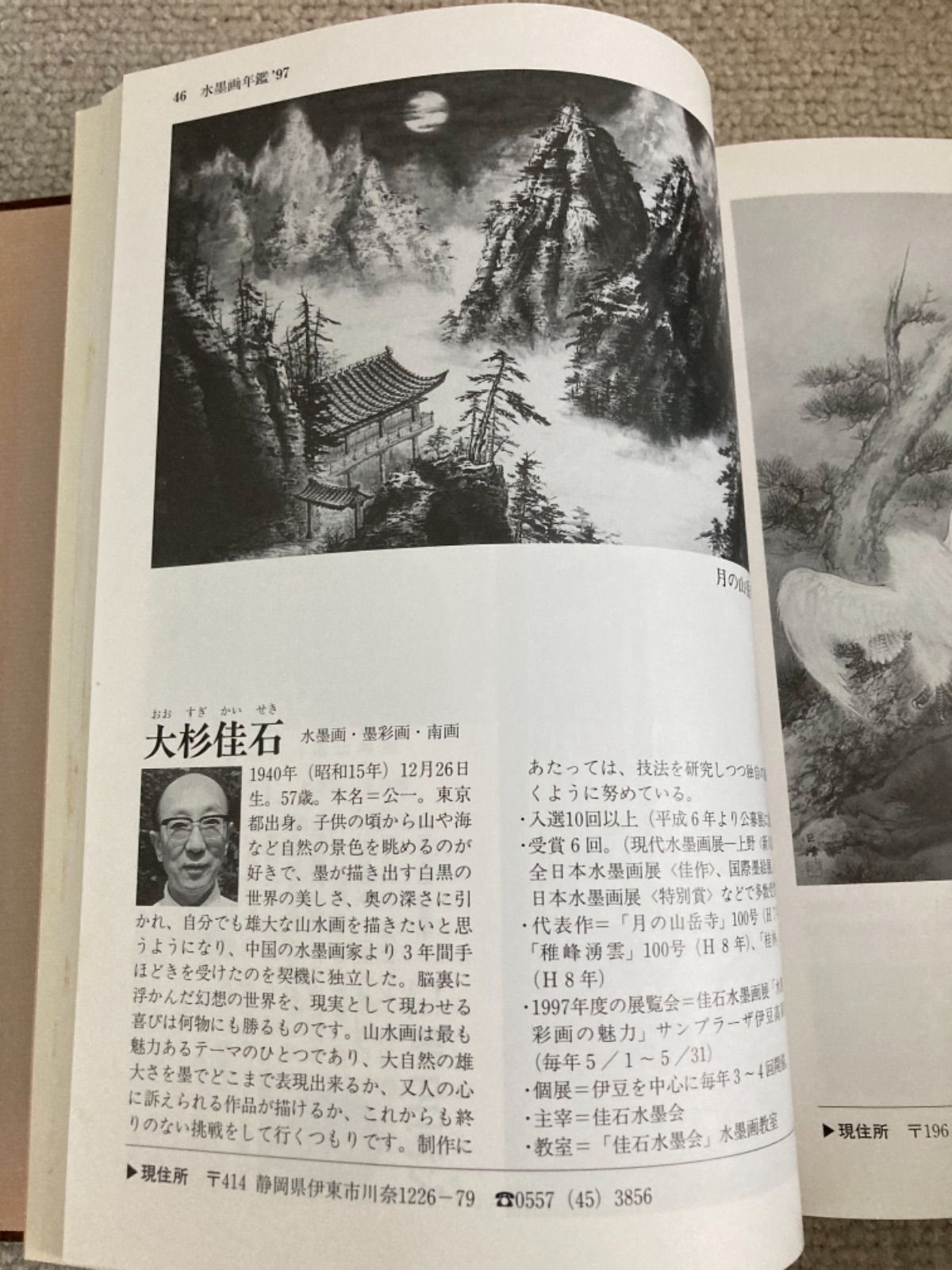 絵画　水墨画　画家　大杉佳石 (カイセキ) 絵画 水墨画 画家 大杉佳石 (カイセキ) - メルカリ