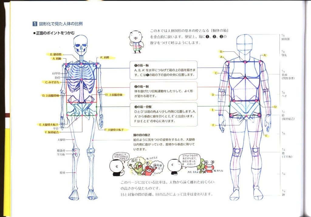 キムラッキの人体ドローイング【帯あり】 オーム社 キム・ラッキの人体