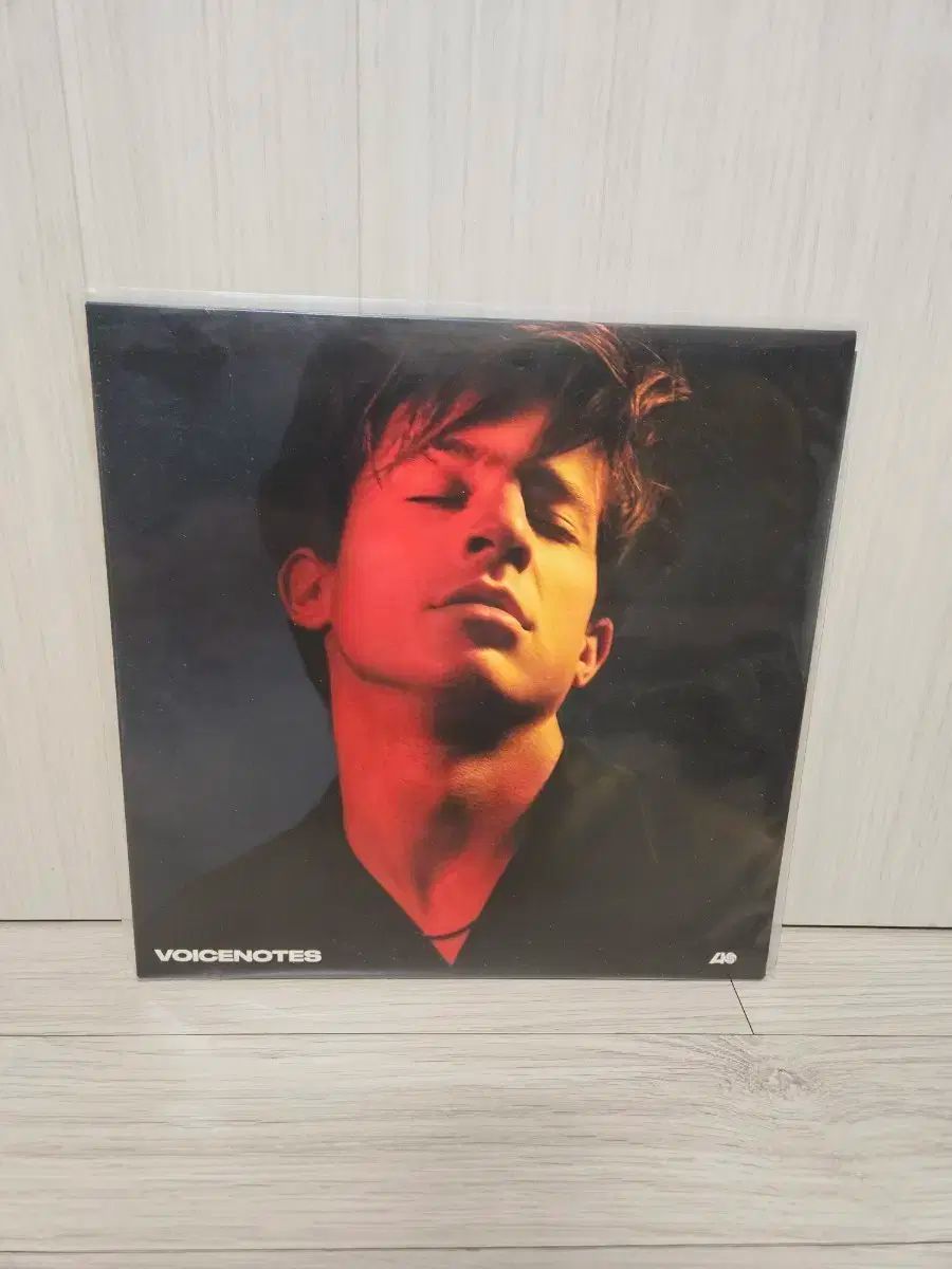 チャーリー・プース LP CHARLIE PUTH / Nine Track Mind ‎(inc. See