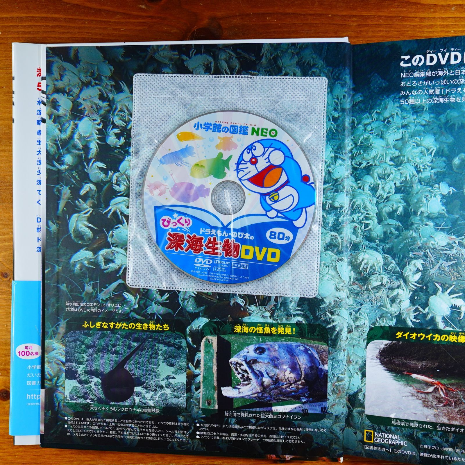 DVD付有 小学館の図鑑NEO 9冊セット 動物 恐竜 深海生物 まとめ売り DVD付有 小学館の図鑑NEO 9冊セット 動物 恐竜 深海生物 まとめ売り