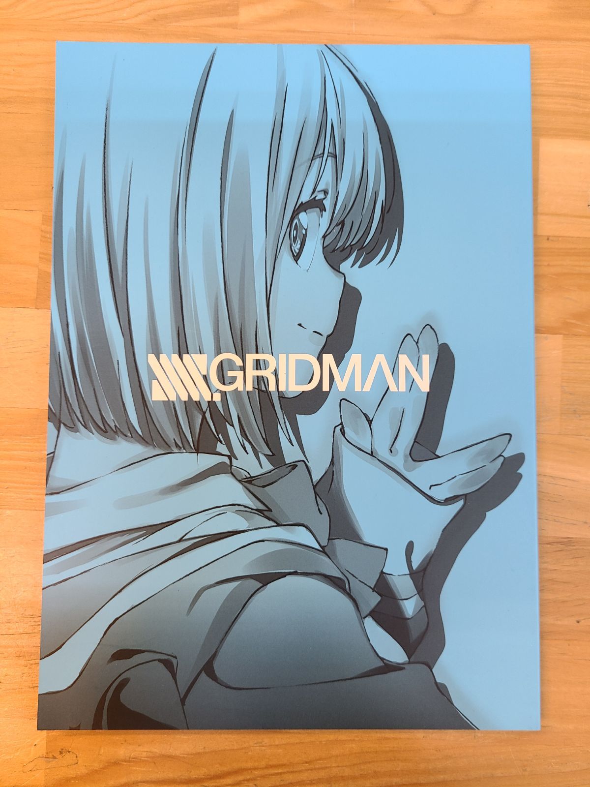 その他 SSSS.GRIDMAN STARTER BOOK SSSS.GRIDMAN STARTER BOOK グリッドマン スターターブック