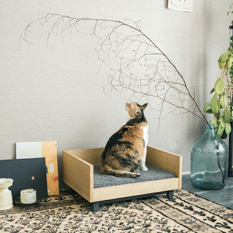 木製 クッション