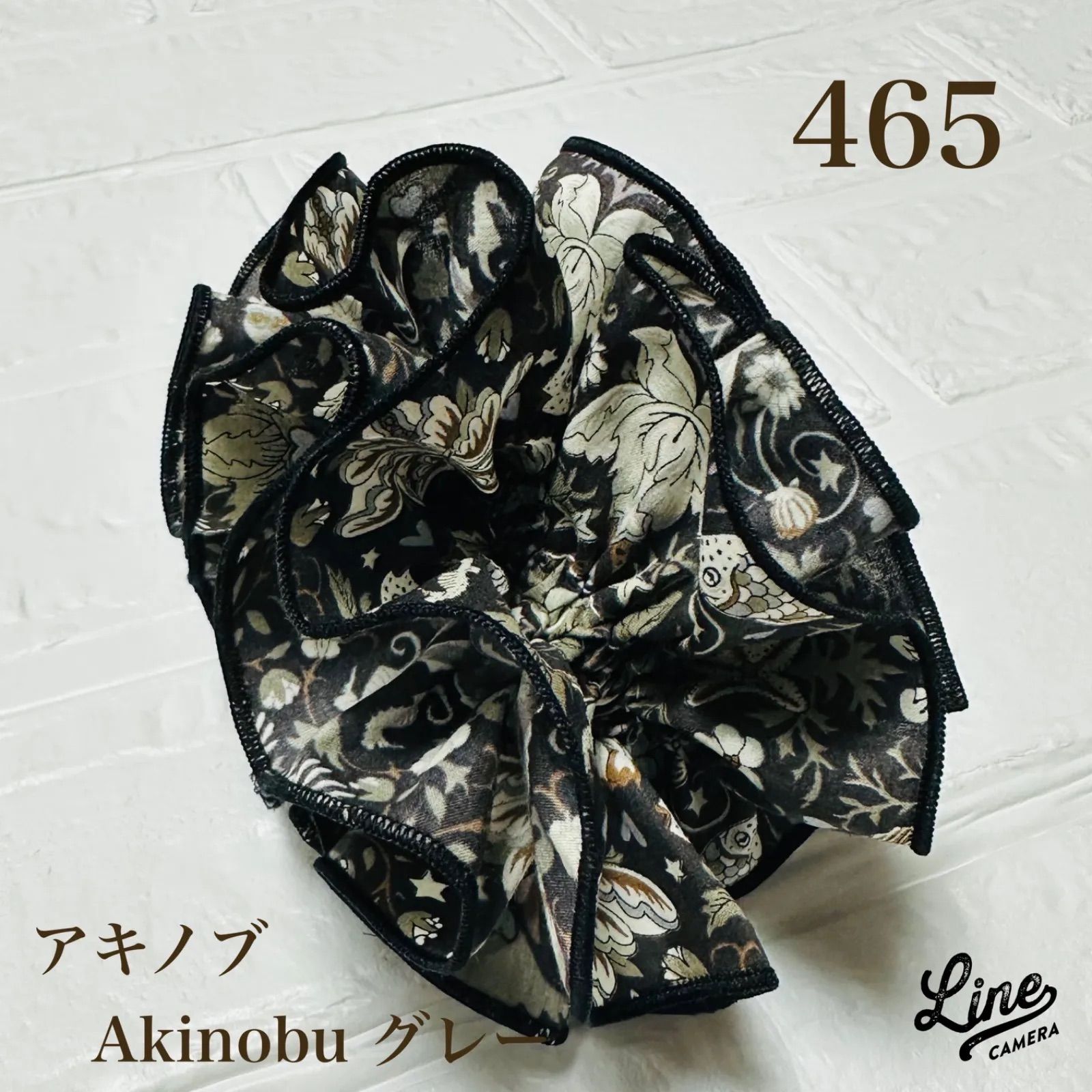 昆虫用品 【珍品！】ゲストロホソアカクワガタ 乾燥標本