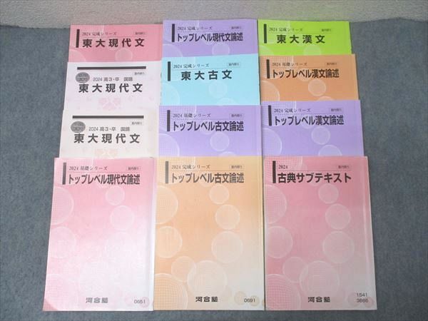 河合塾 東京大学 東大/トップレベル現代文/古文/漢文論述等 国語テキスト通年セット 2024 計12冊 074L0D 河合塾 東京大学 東大/トップレベル現代文/古文/漢文論述等 国語