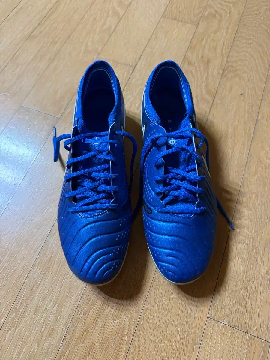 NIKE ナイキ ティエンポ レジェンド 10 275 ag