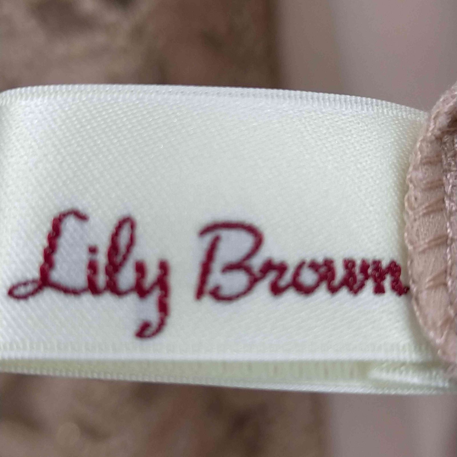 リリーブラウン Lily Brown レイヤード刺繍チュールワンピース