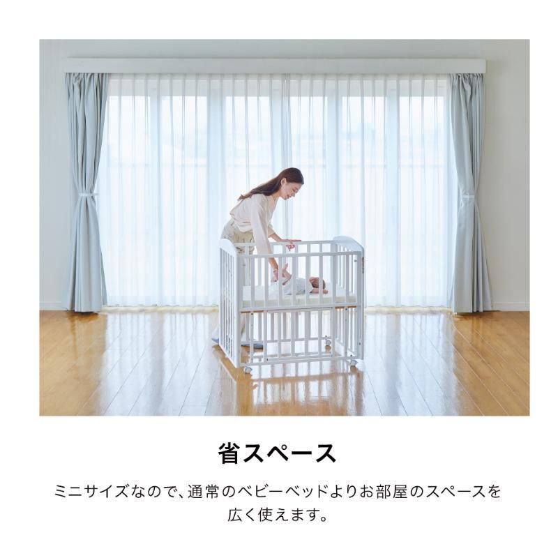 プチホワイト
