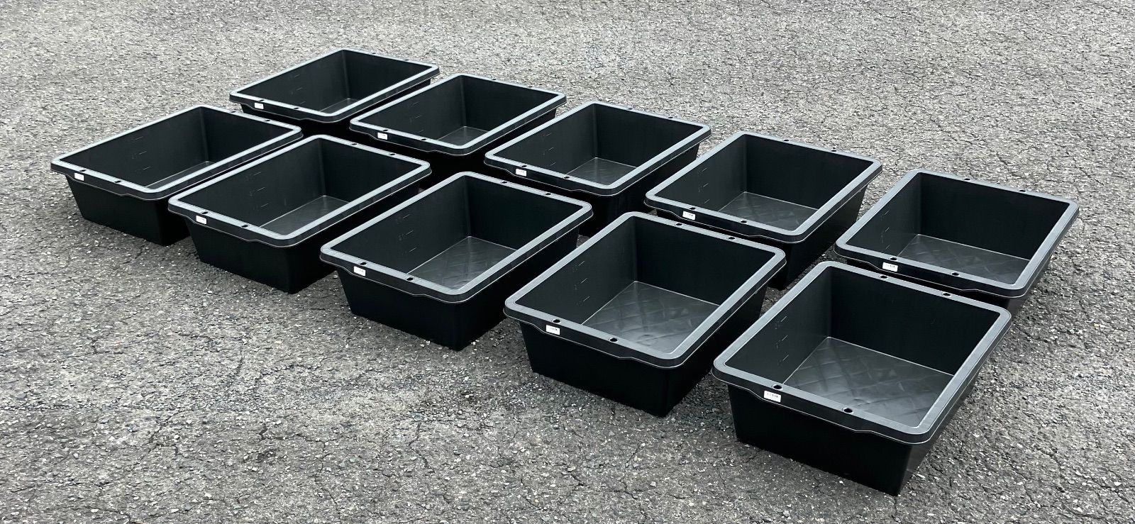 kivi リオブラウン バーコードシール付き 小売業者 2025年最新】kivi