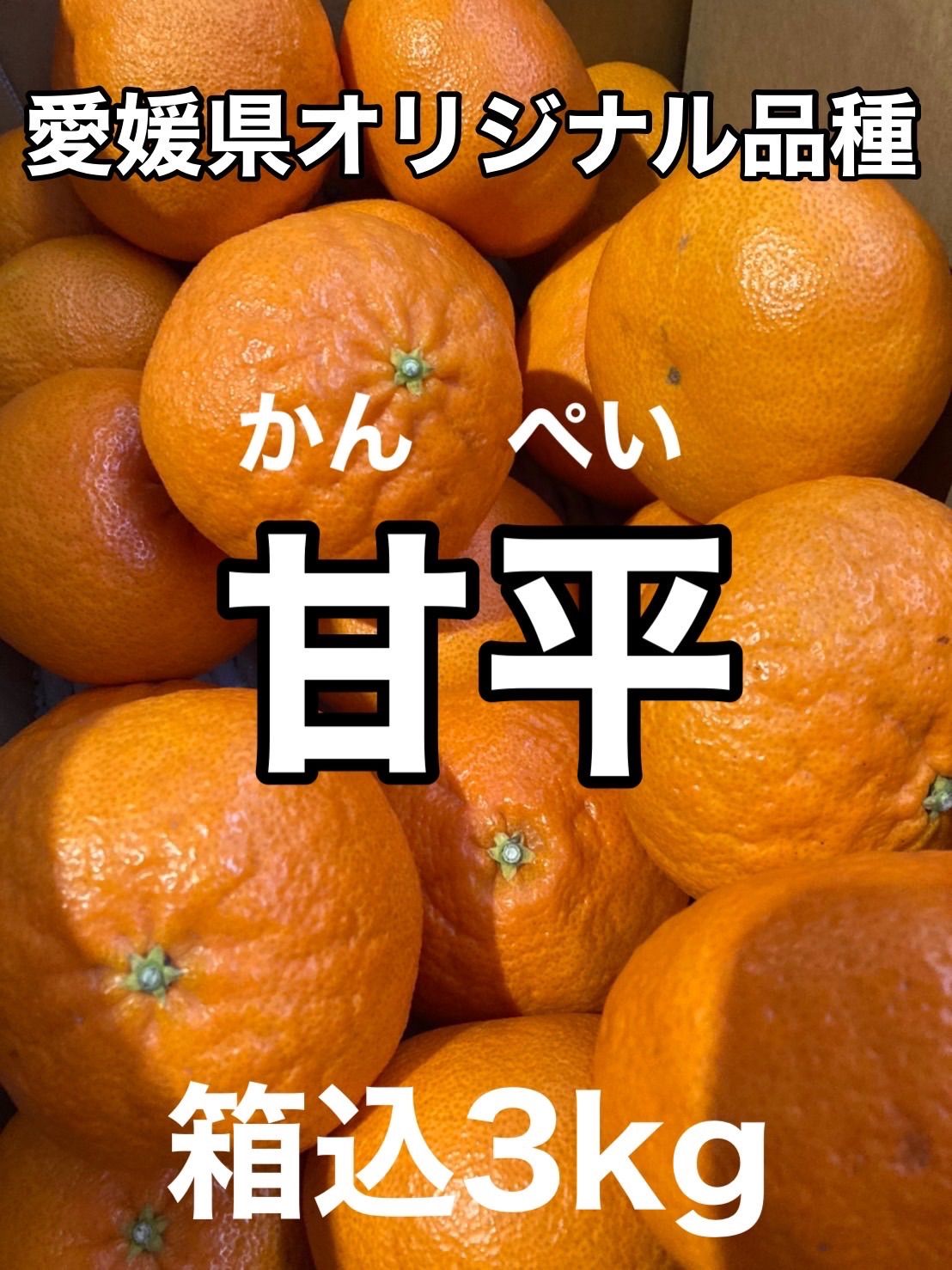 お気に入り】 ㊙️ 愛媛県宇和島産 爺の甘平 Aランク品 箱別約3kg 柑橘