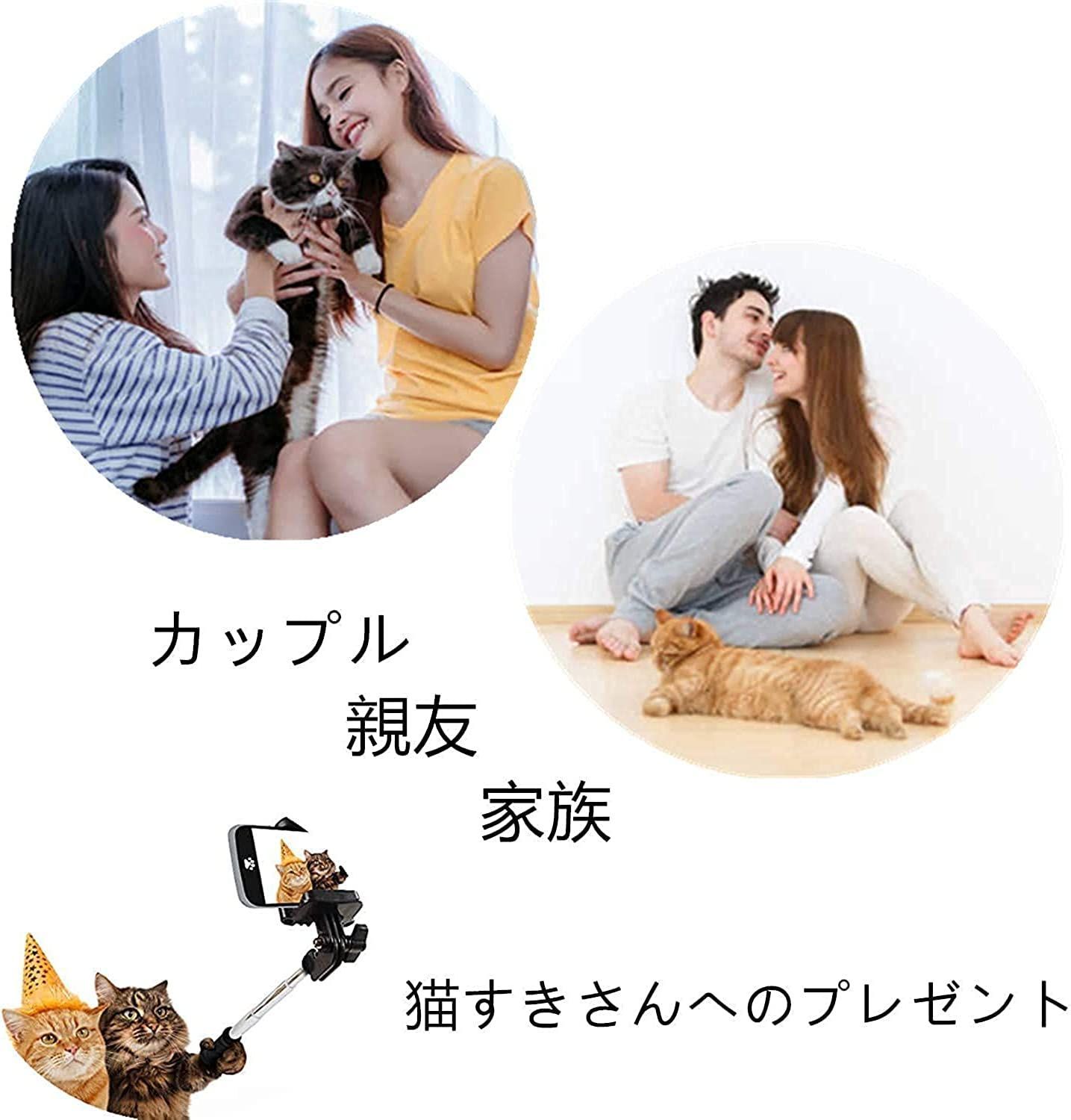 【セール中】ローズゴルード [ＪＥＷＥＬＲＹＷＥ] ネックレス ペア カップル かわいい 猫 ペンダントステンレス チェーン二つ付き シルバー ブラック 彼氏 