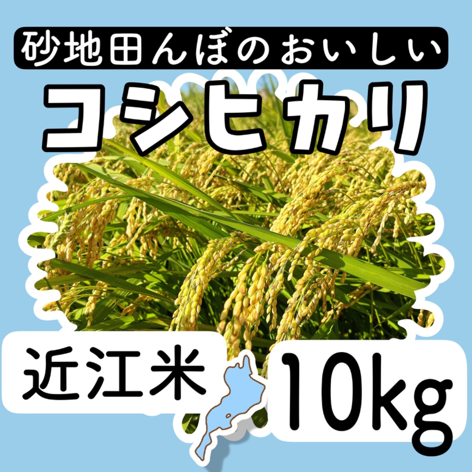 令和5年とれたて新米！近江米コシヒカリ20kg-