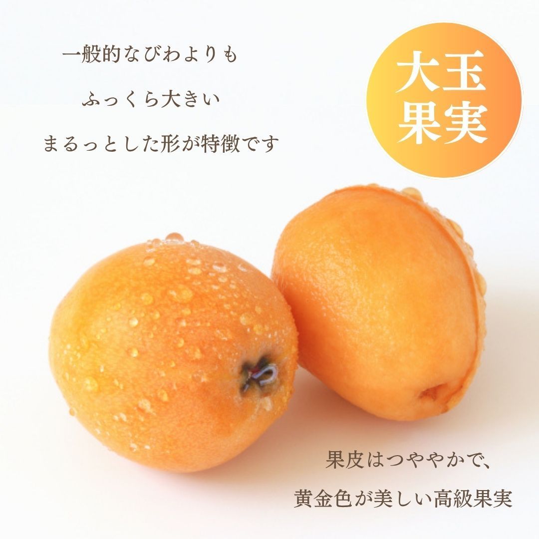 2kg