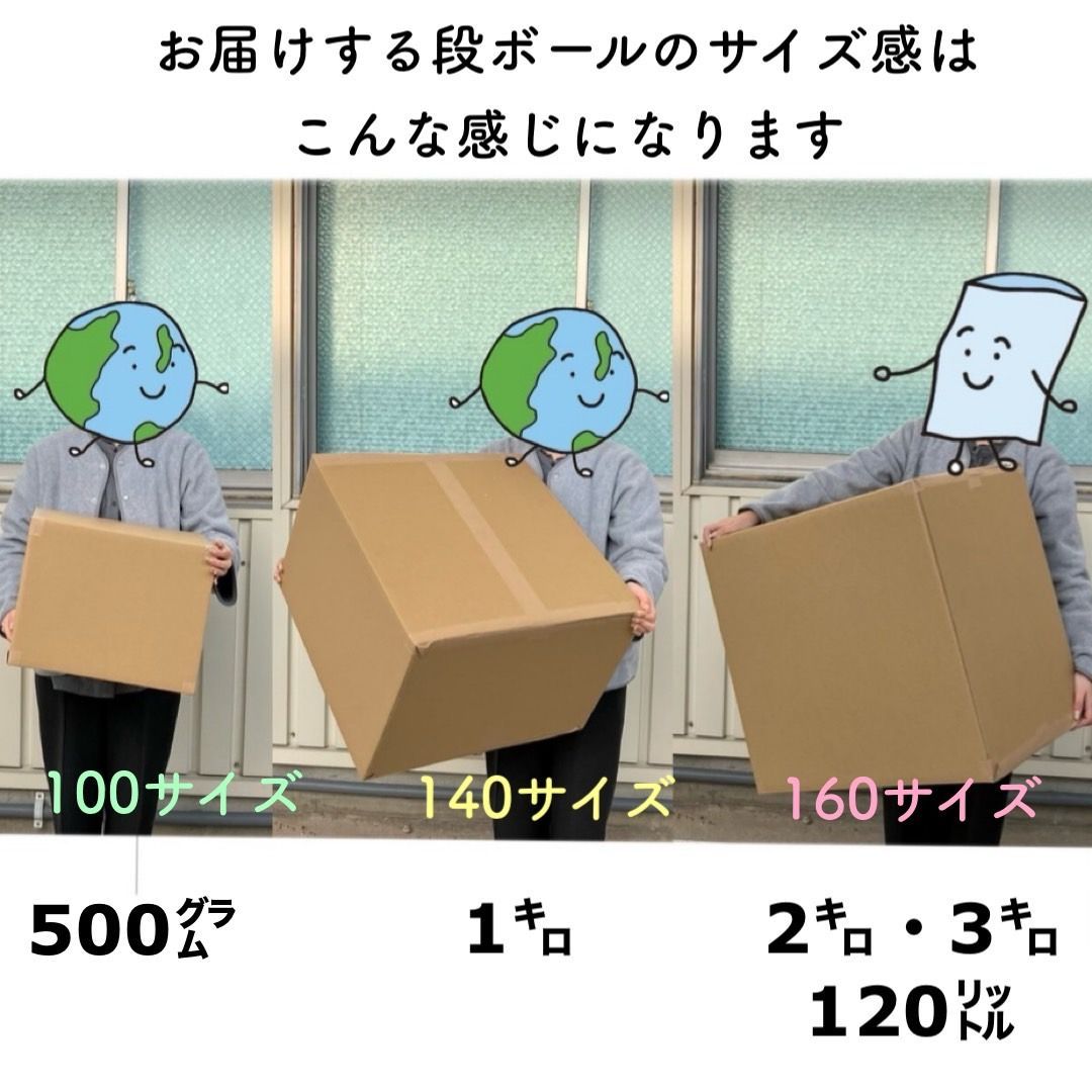 【補充用ビーズ】　約500グラム　500g　日本製　発泡ビーズ　ビーズクッション　ハンドメイド　詰め替え用　入れ替え用　業務用　大容量