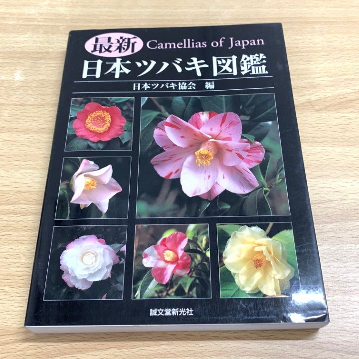 ▲01 同梱不可 本 最新日本ツバキ図鑑|日本ツバキ協会|誠文堂新光社|2010年|A