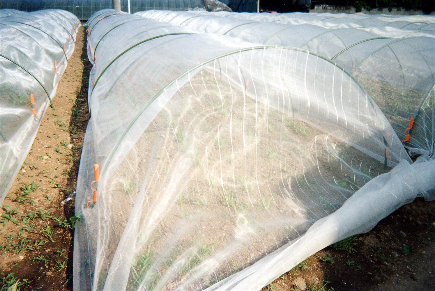 銀糸入り防虫ネット