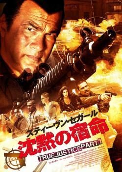 スティーヴン セガール TRUE JUSTICE PART1全6巻＋PART2全6巻 12巻セット レンタル落ち DVD