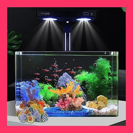 アクアリウム ZOOX FlowDian 流量センサー