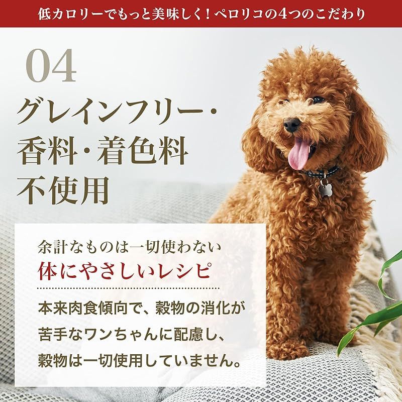 ライト 1.8kg
