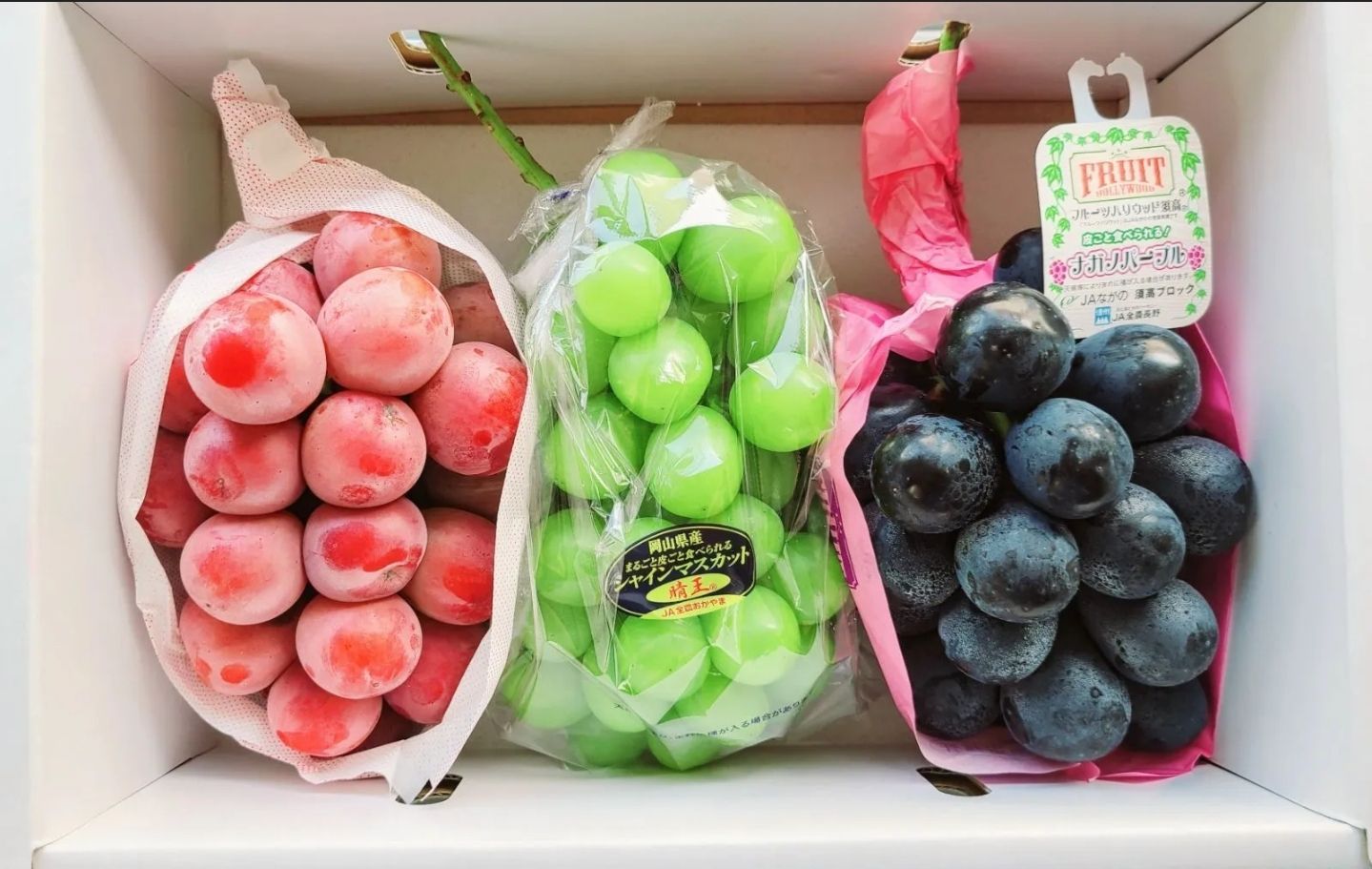 クイーンニーナ シャインマスカット 長野パープル 三種詰合せ ギフト 御供え