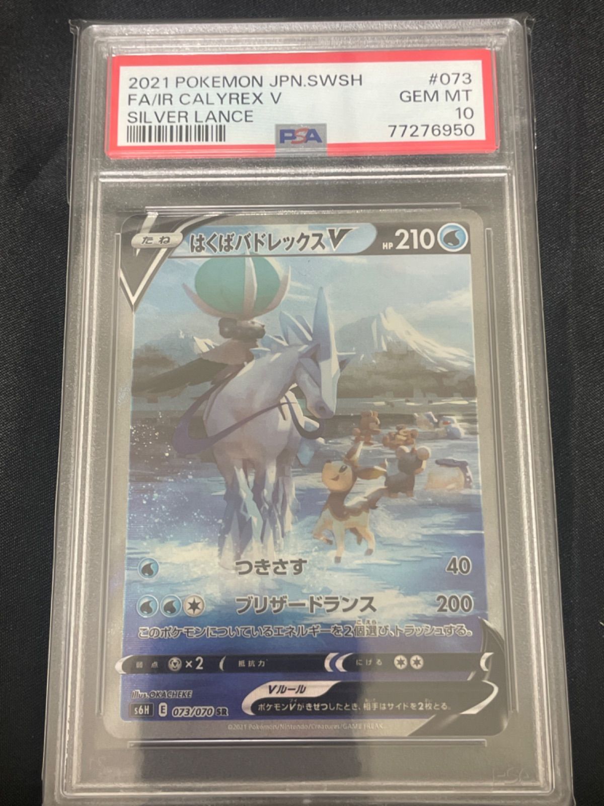 はくばバドレックスV SA PSA10