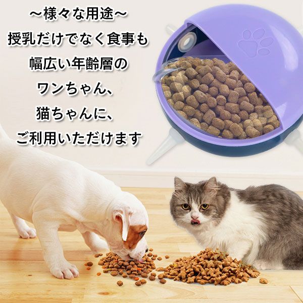子犬