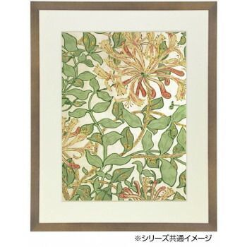 デッサン額 木製フレーム