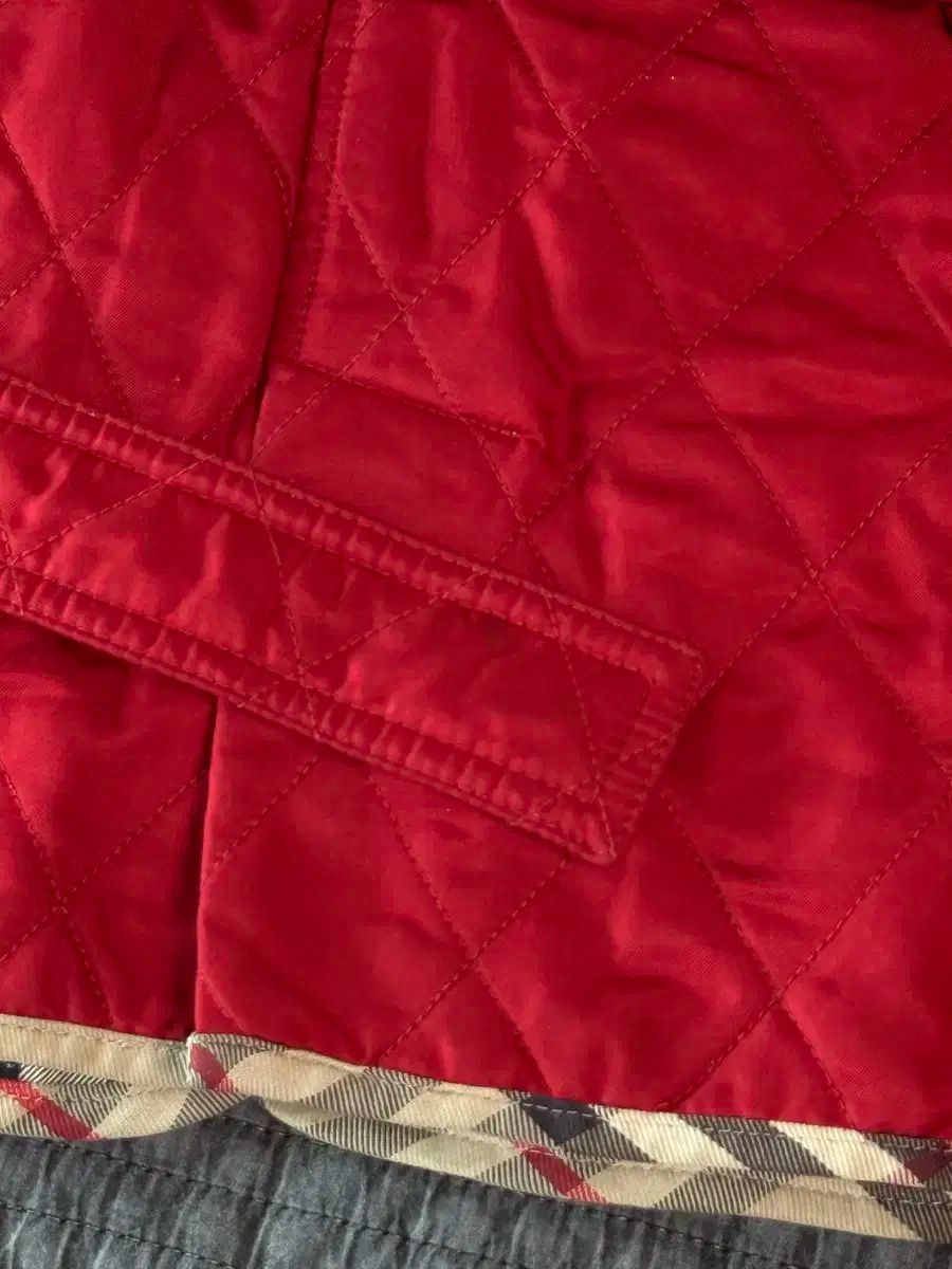 フレンチテリー レッド