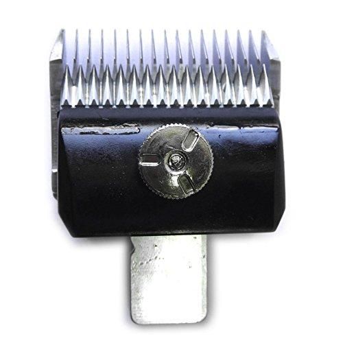 5営業日で発送 市瀬 Bloom 替刃 8.0mm 32430148