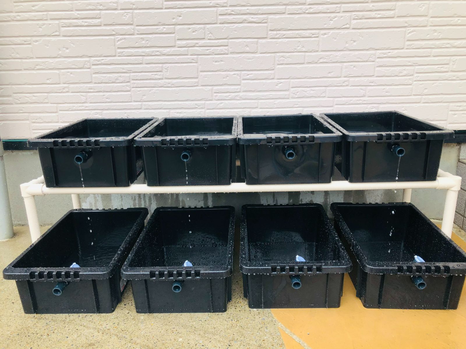 メダカ飼育ラック ブラック【接着剤付】 NVBOX13を8個置けます メダカ飼育ラック ブラック【接着剤付】 NVBOX13を12個置けます
