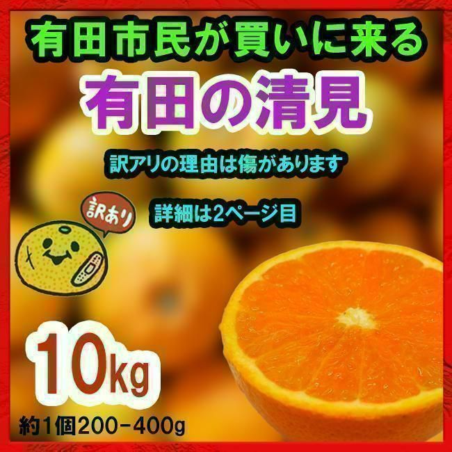 最適な材料 和歌山県有田産 激甘小粒ハウスみかん ad-naturam.fr