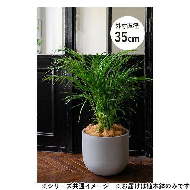 グリーンポット 植木鉢 オプティマス Uポット セメント 35cm