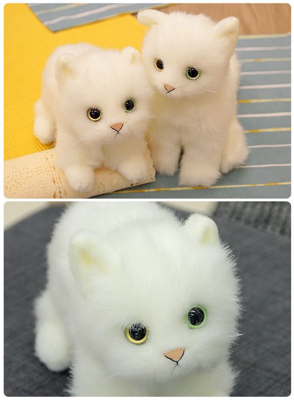 クロネコ立ち】日本製 リアル 猫のぬいぐるみ 子猫 20cm(リアル