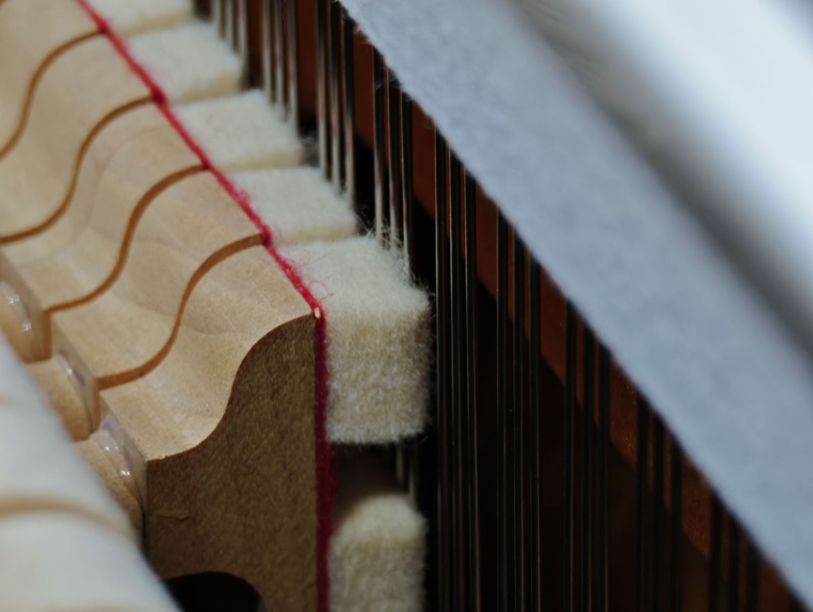 リニューアル済