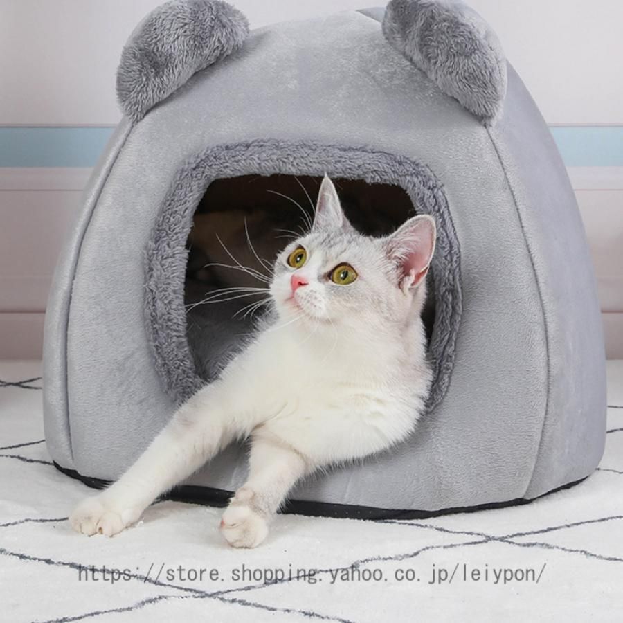 犬猫用