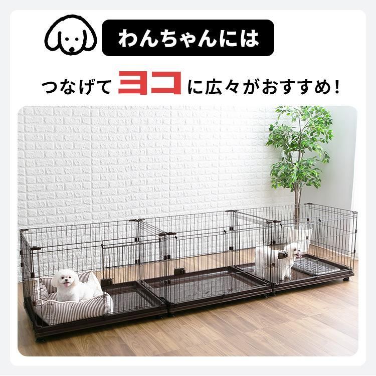 犬用