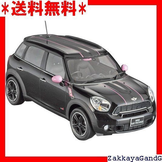 美品★★★ ハセガワ 1/24 ミニ クロスオーバー&quot;レイ &quot; 20262 19 Amazon | ハセガワ 1/24 ミニ クロスオーバー
