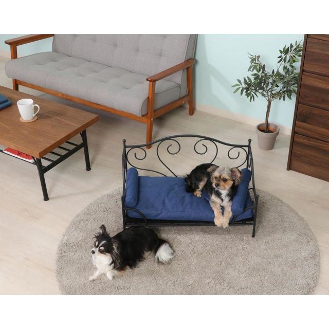 不二貿易 ペットデイベッド SF-532 BK BL ブラック ブルー 感 アンティーク調 ペットベッド ペットソファ ペット家具 インテリア