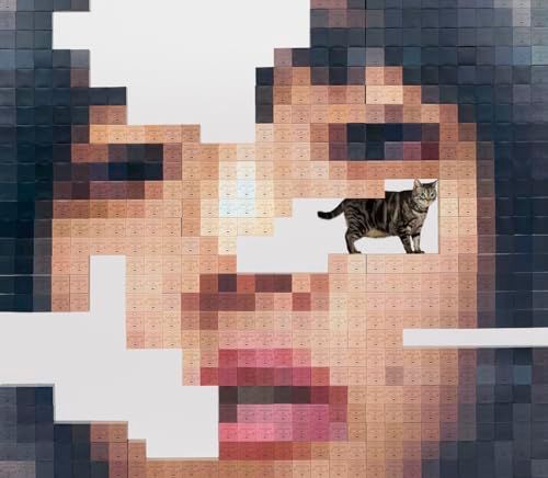 CD)猫にジェラシー (初回限定DVD盤) - あいみょん／あいみょん