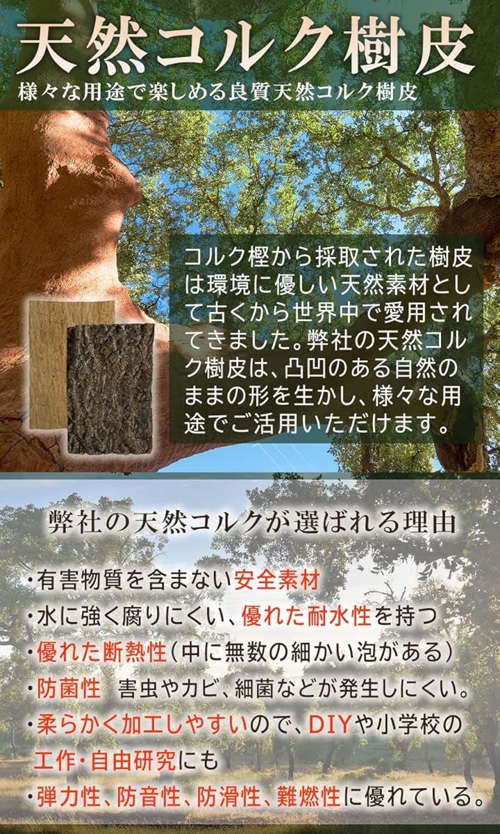 WinJapan コルク樹皮 着生 エアプランツ チランジア バークチップ 爬虫類 観葉植物 本物 ヘゴ板 大サイズ 200x300 ７枚