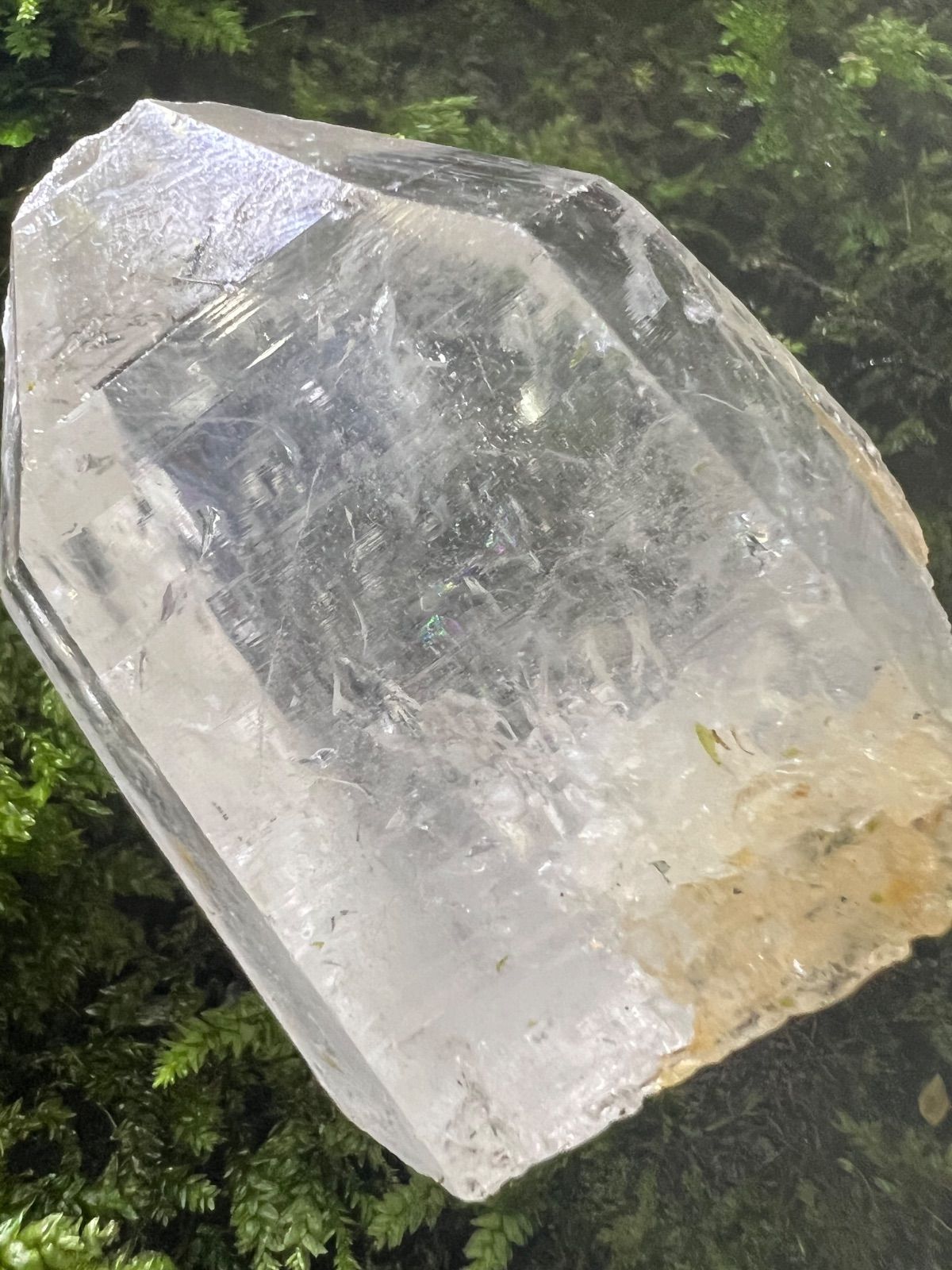 2025年最新】保護猫活動支援の人気アイテム - メルカリ 龍脈の精髄