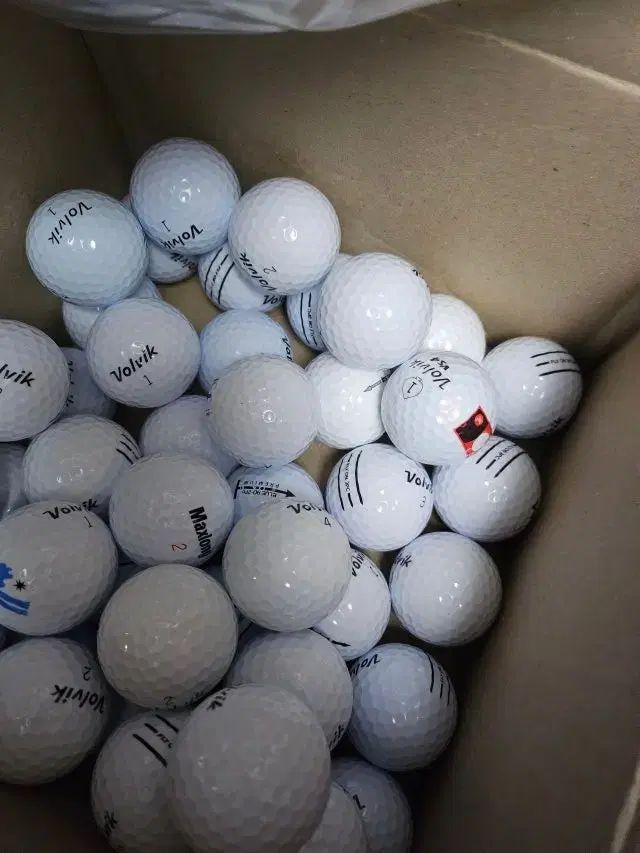  Volvik ボルビック A グレード ホワイト 50 犬 その他 ゴルフ