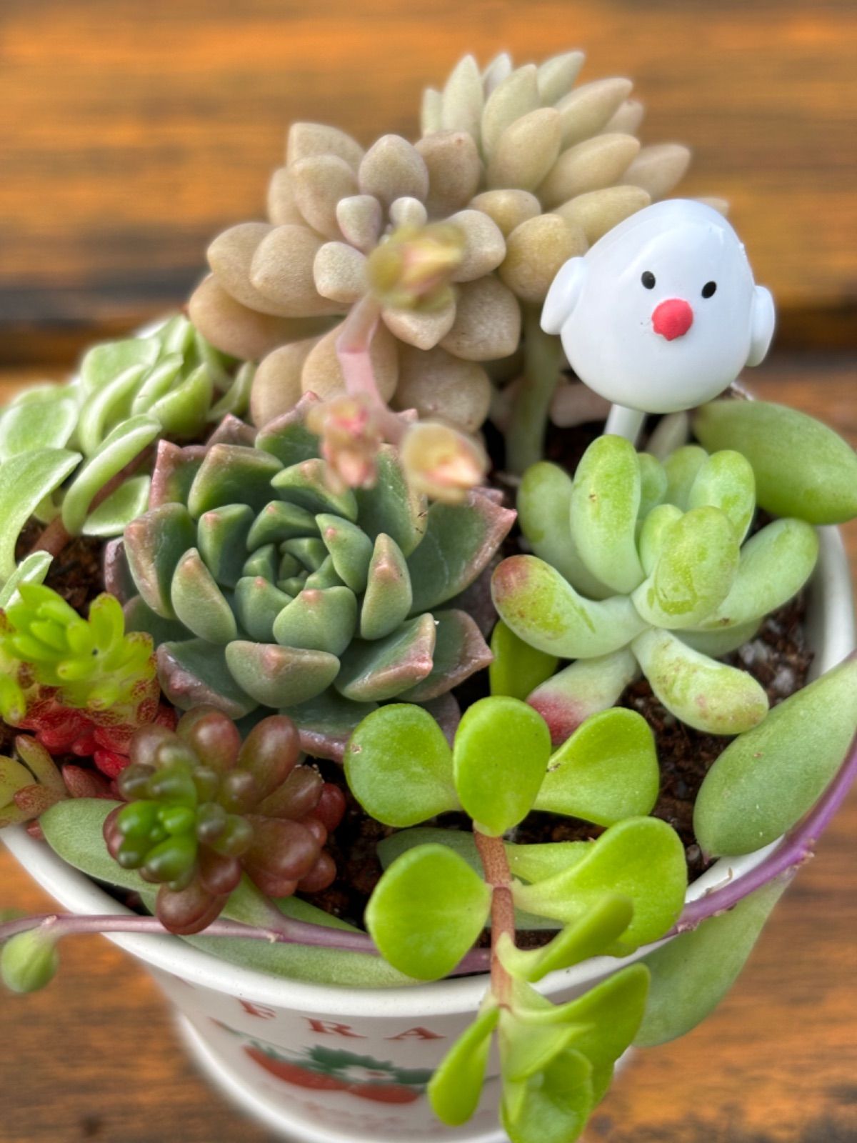 ☆限定品☆【母の日♡Mother