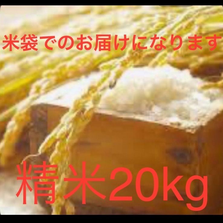 新米 三重県産 伊賀米コシヒカリ20kg