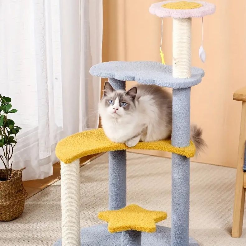 多頭飼い
